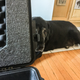 Image for article titled Nine Days With an Absurd $9,000 Gaming Laptop